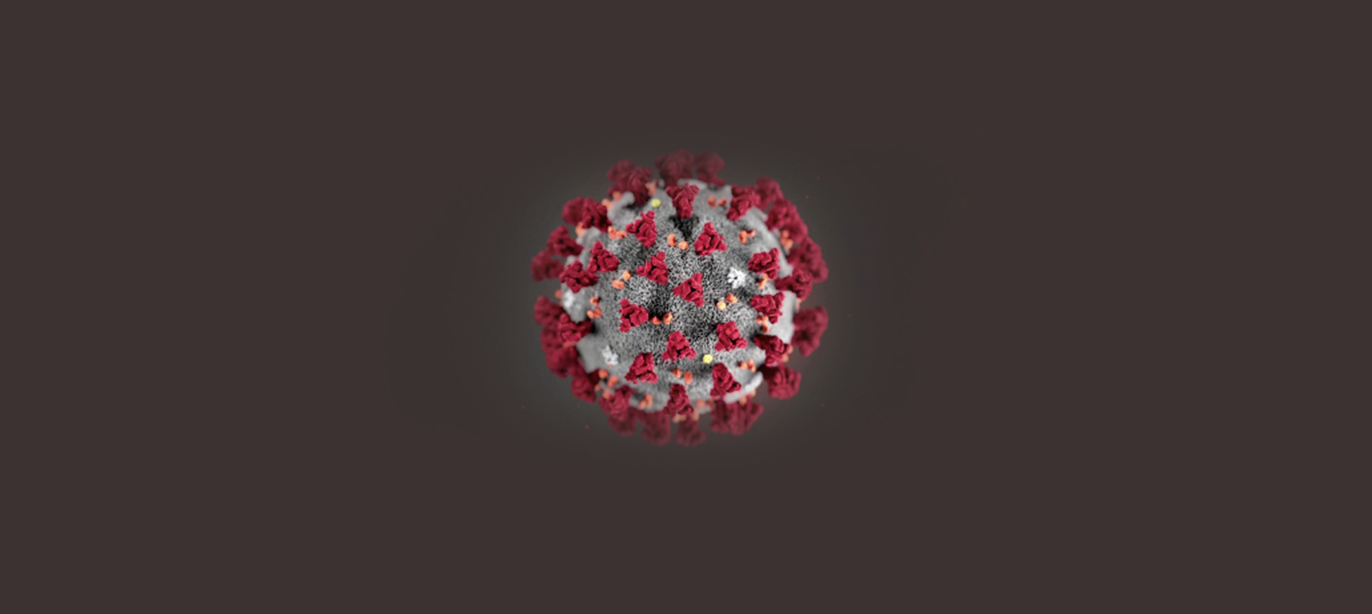 coronavirus