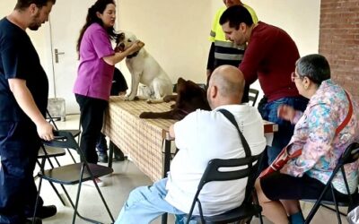 Txakurrekin egindako terapia eta musika-terapia Eragintzako zentro okupazionaletara itzuli dira