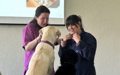 Eragintzak  txakurrekin terapia aplikatzen du bere Zentro Okupazionaletan