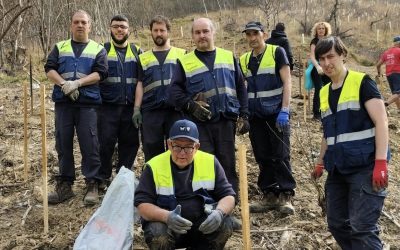 Eragintza, Athletic Fundazioarekin eta Lurgaiarekin elkarlanean aritu da zuhaitzak landatzen